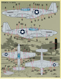 Furball 1/48 decals Colors and Markings of P-51 Part II - FDS4835 14 options