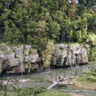 Woodland Scenics Terrain & Landscape - Turf, Bushes & Underground - Shakers