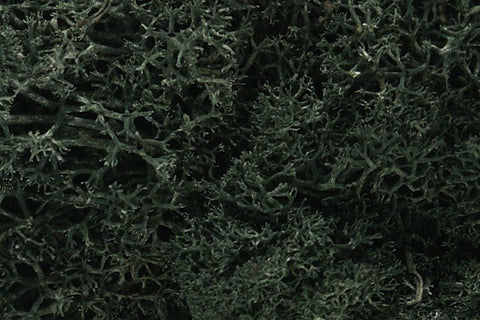 Woodland Scenics Lichen Dark Green - L164