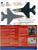 TwoBobs 1/48 scale decals F-18C Blk 52 Mountain Home's Gunfighter - 48-033
