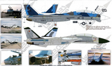 TwoBobs 1/48 scale decals F-14A Splintered NSAWC Tomcat - 48-007