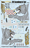 TwoBobs 1/48 scale decals Mirage 2000 - 2001 NATO Tiger Meet - 48-043