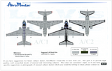 Aeromaster 1/48 decal sheet Vikings of the Fleet, Lo Visibility, Pt IV - 48-551