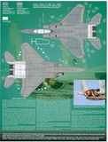 TwoBobs 1/48 scale F-15S Khamis Mushait Eagles decal sheet - 48-203