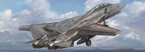 AMK Models 1/48 scale spare sprues for Grumman F-14D Super Tomcat 88007