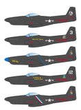 Caracal 1/48 decal F-82 Twin Mustang - CD48146 for Modelsvit