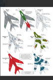 Iliad 1/48 scale MiG-19/Shenyang J-6 decals - 48005