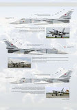 Advanced Modeling 1/72 decals Su-24M/MR Chelyabinsk Eagles Pt.2 AMD172021-1