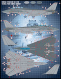 Furball 1/48 decals Colors & Markings of US Navy Tomcats part V - FDS-4813