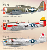 1/48 Lifelike Decals for Republic P-47D Thunderbolt Part 9 - LLD48049