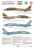 Wolfpack 1/32 decal The Last Active Tomcats Iranian Alicat F-14A Tomcat WD32006