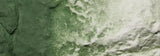 Woodland Scenics - Earth Colors Liquid Pigment - Green Undercoat - 8oz. (236ml) - C1228
