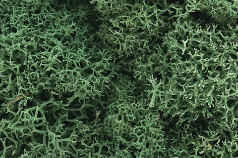 Woodland Scenics Lichen Light Green - L162