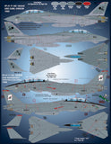 Furball 1/48 decals Colors & Markings of US Navy Tomcats part V - FDS-4813