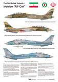 Wolfpack 1/48 decals F-14A Tomcat Pt 1 - Tomcats Iranian Ali-Cat WD48012